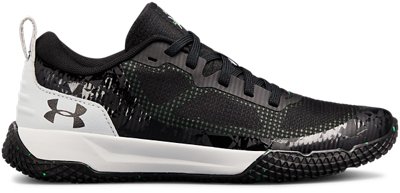 ua bgs x level mainshock