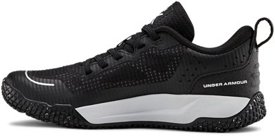 ua bgs x level mainshock